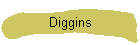 Diggins